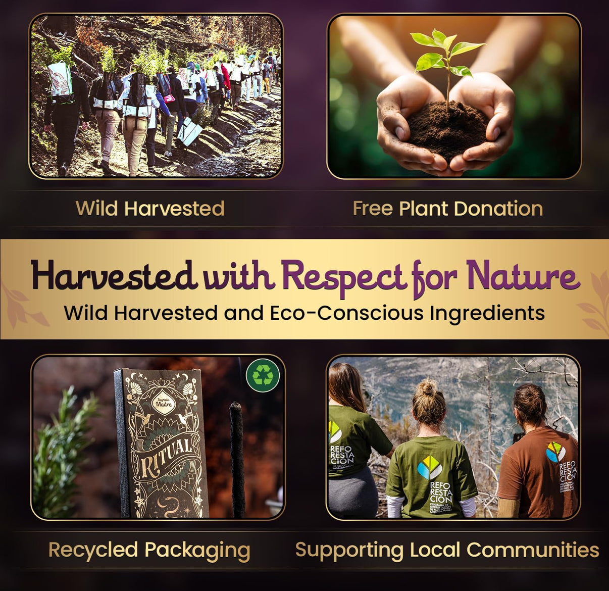 Tao Premium Incense Collection