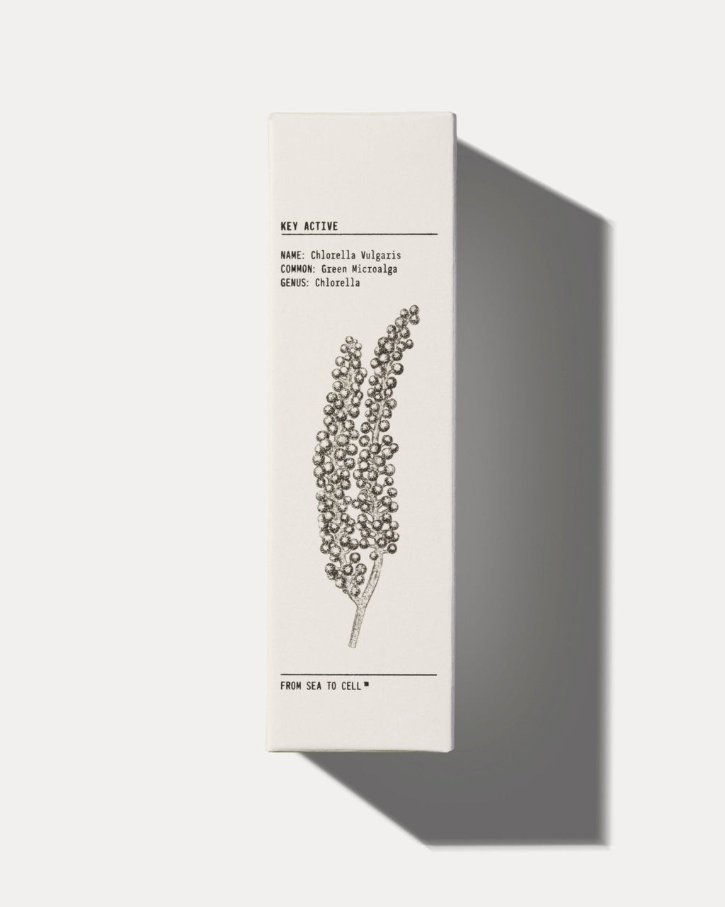 MATTIFYING MOISTURISER