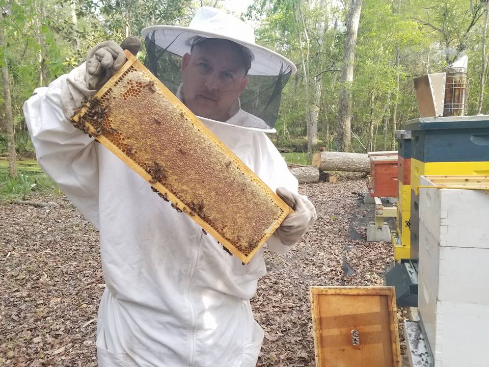 Mandarin Orange Honey