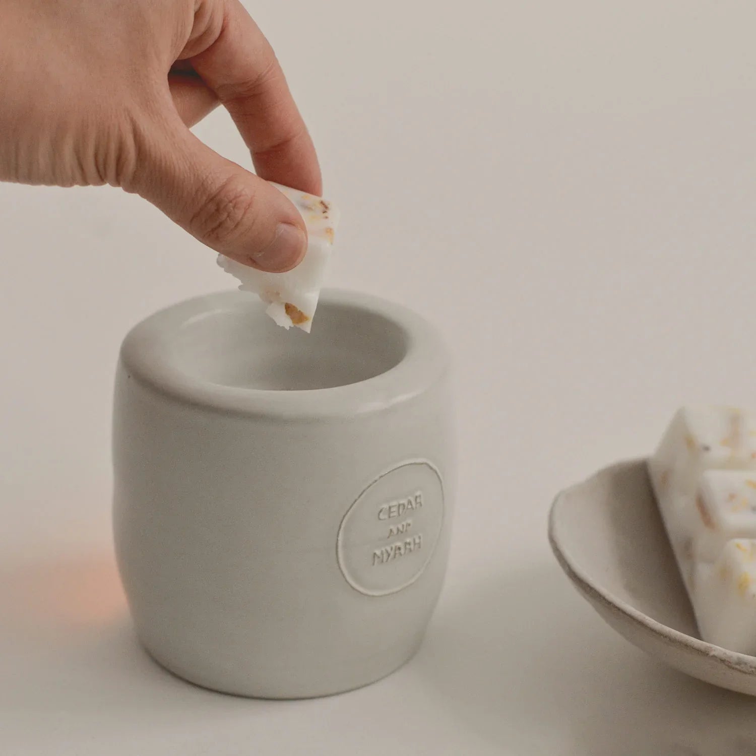 Natural Palo Santo Scented Wax Melts | 6 Cubes